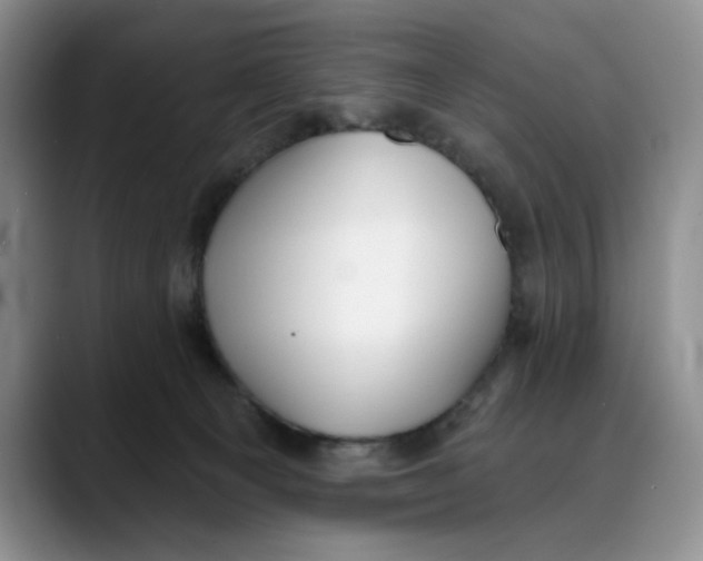 X0000088490129200706121556