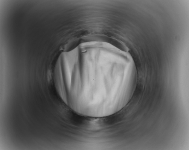 X0000088490130200706121556