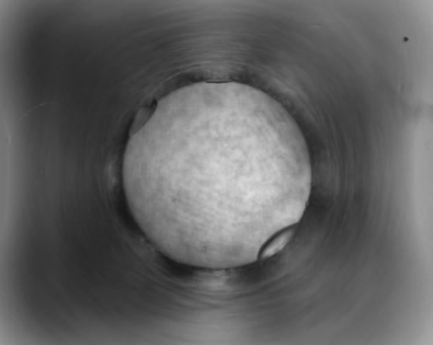 X0000088490131200706121556