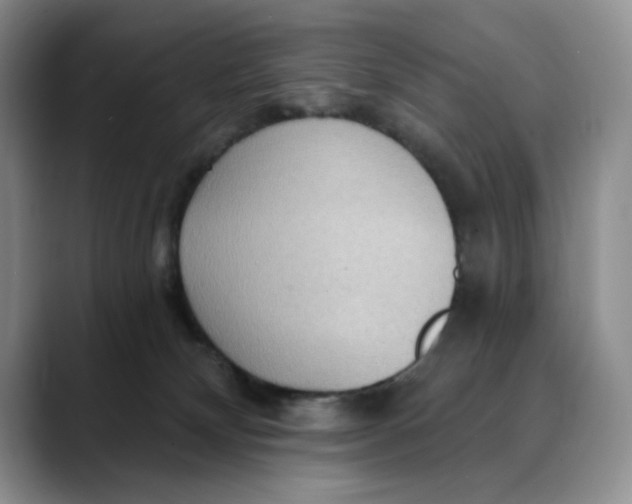 X0000088490132200706121556