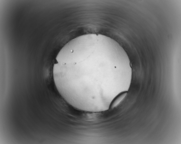 X0000088490134200706121556