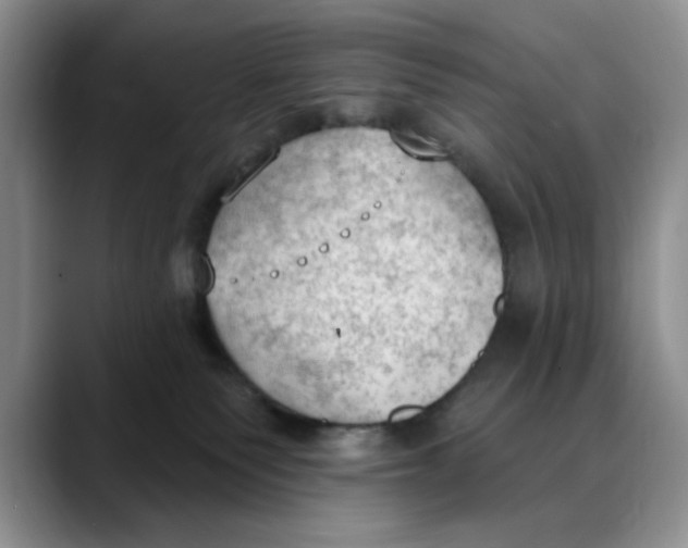 X0000088490135200706121556