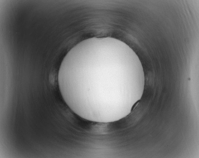 X0000088490138200706121556