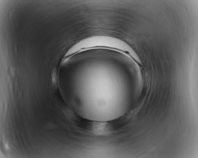 X0000088490143200706121556