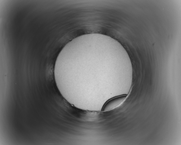 X0000088490144200706121556