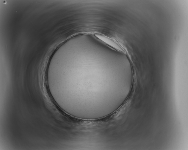 X0000088490145200706121555