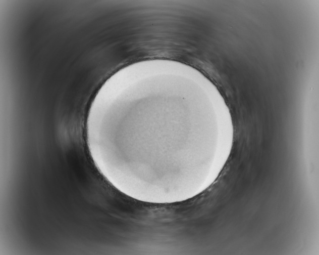 X0000088490146200706121555