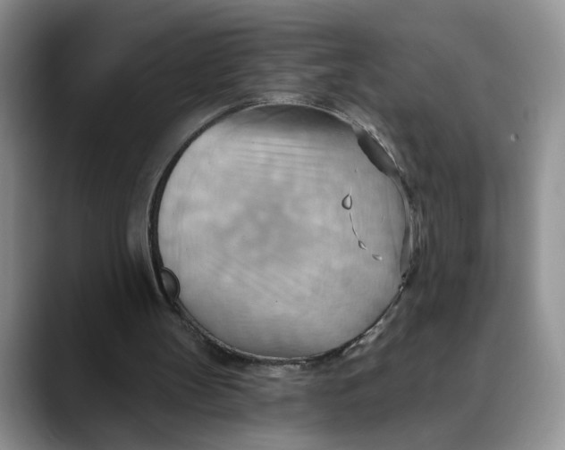 X0000088490147200706121555