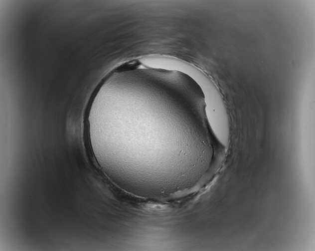 X0000088490148200706121555