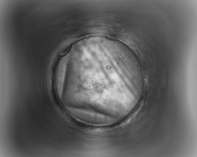 X0000088490149200706121555