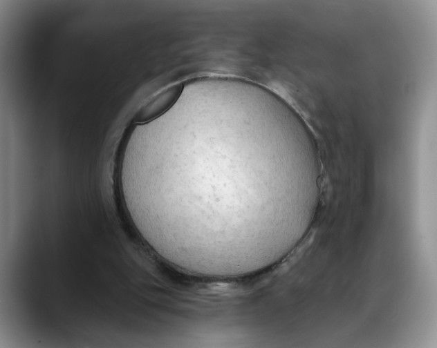 X0000088490151200706121555