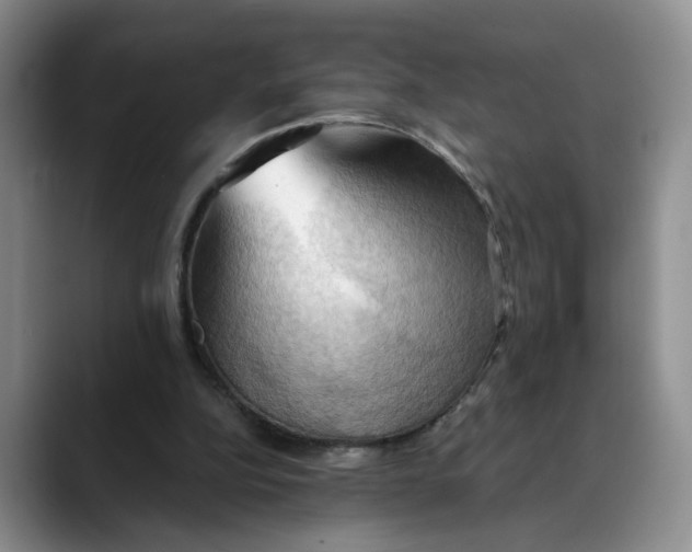 X0000088490152200706121555
