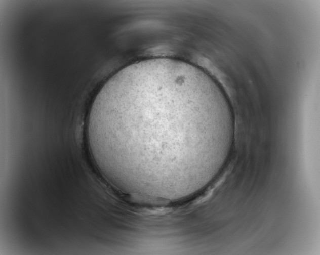 X0000088490153200706121555