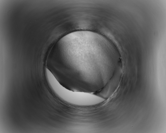 X0000088490154200706121555