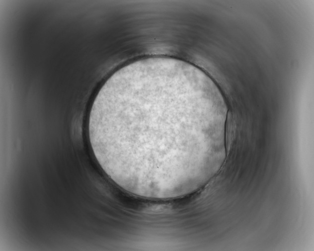 X0000088490155200706121555