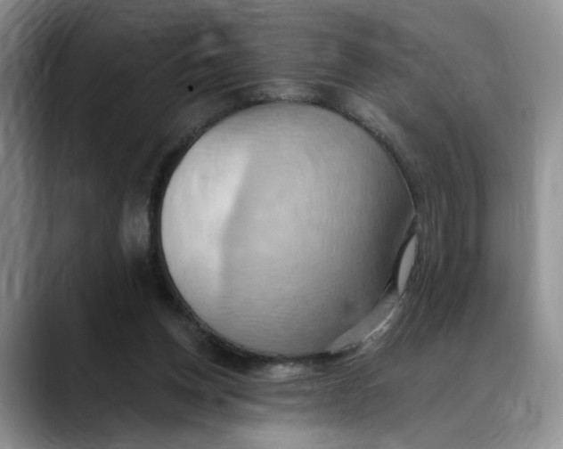 X0000088490158200706121555