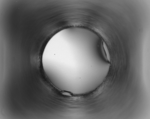 X0000088490160200706121555