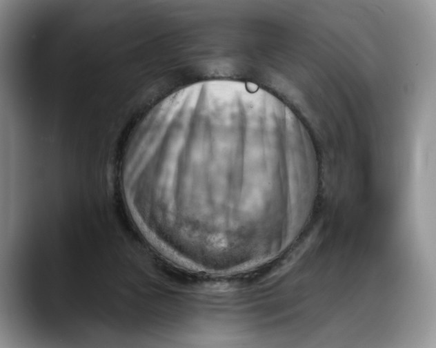 X0000088490161200706121555