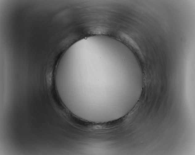 X0000088490163200706121555