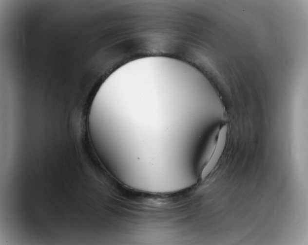 X0000088490164200706121555