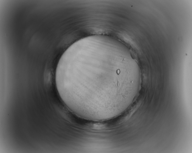 X0000088490165200706121555