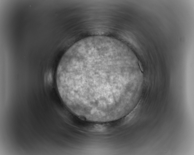 X0000088490166200706121555