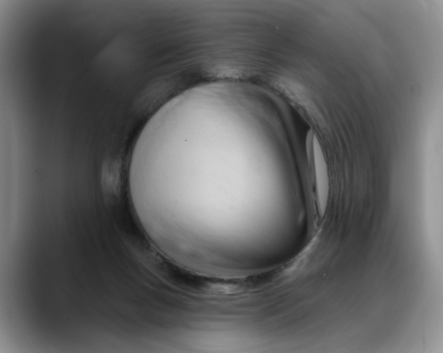 X0000088490167200706121555