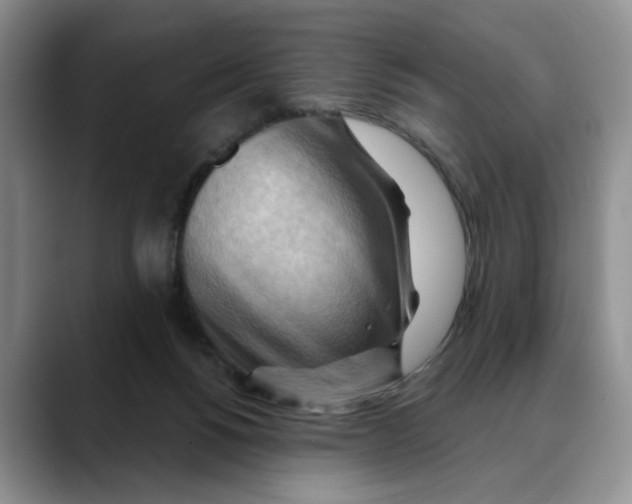 X0000088490168200706121555