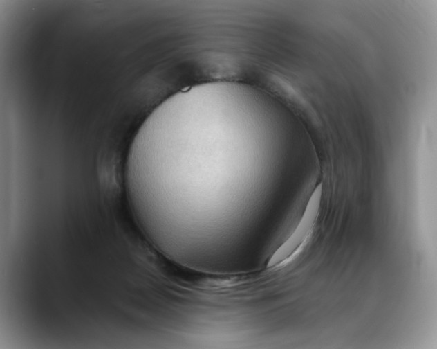 X0000088490170200706121555