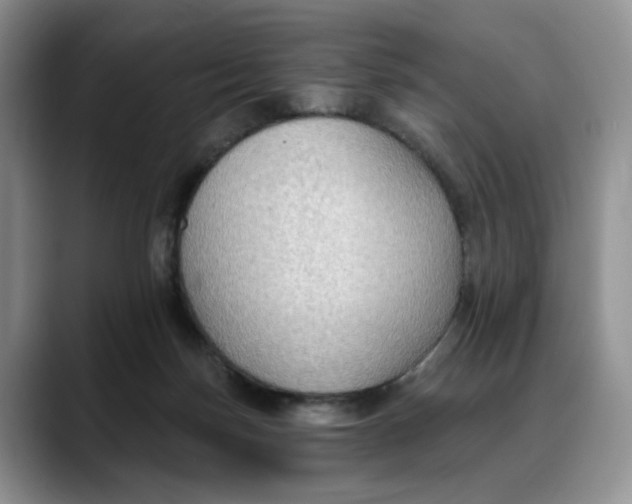 X0000088490171200706121555