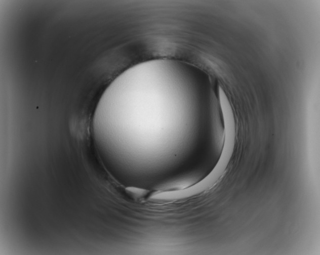 X0000088490172200706121555