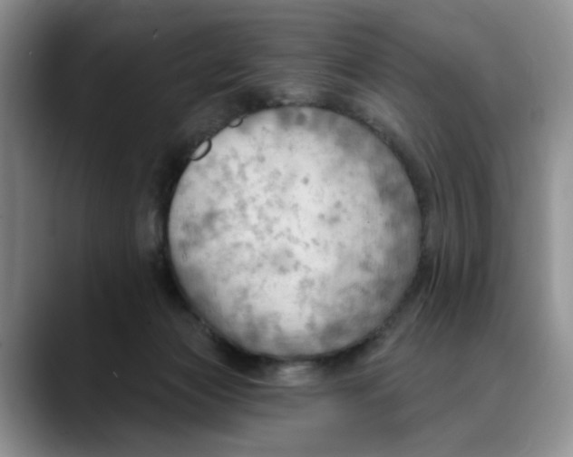 X0000088490173200706121555
