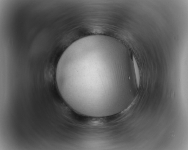 X0000088490175200706121555