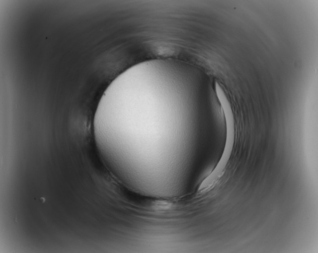 X0000088490176200706121555