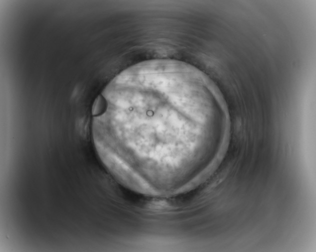 X0000088490177200706121555