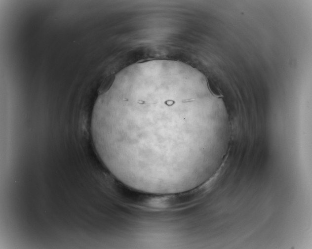 X0000088490178200706121555