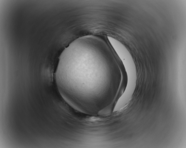 X0000088490180200706121555