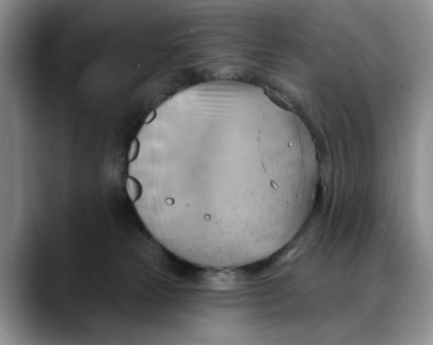 X0000088490181200706121555