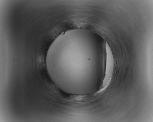 X0000088490182200706121555