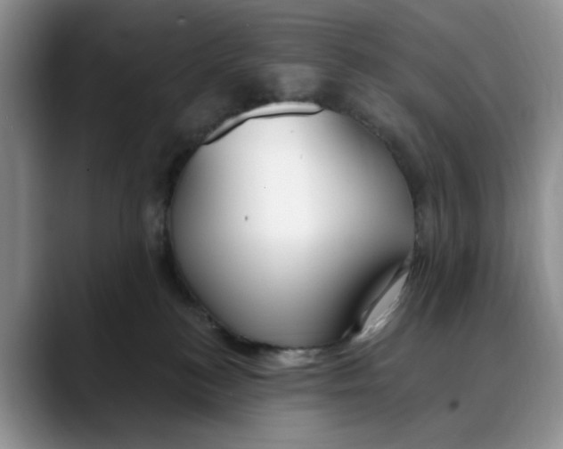 X0000088490184200706121555