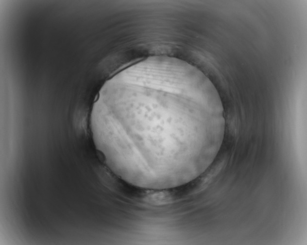 X0000088490185200706121555