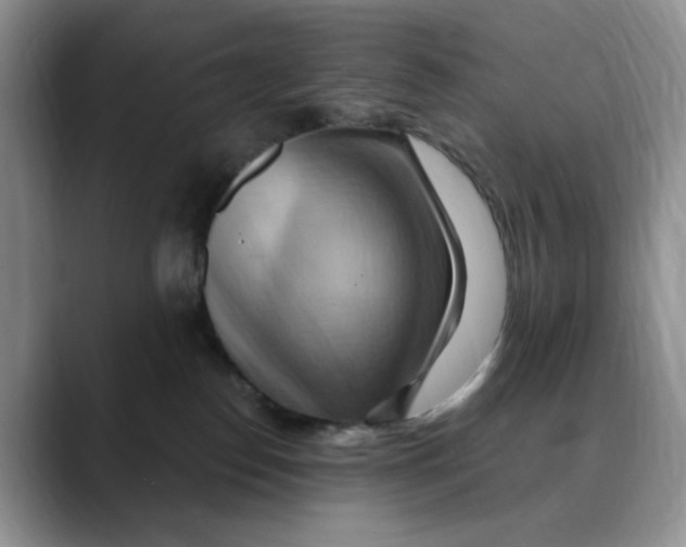 X0000088490186200706121556