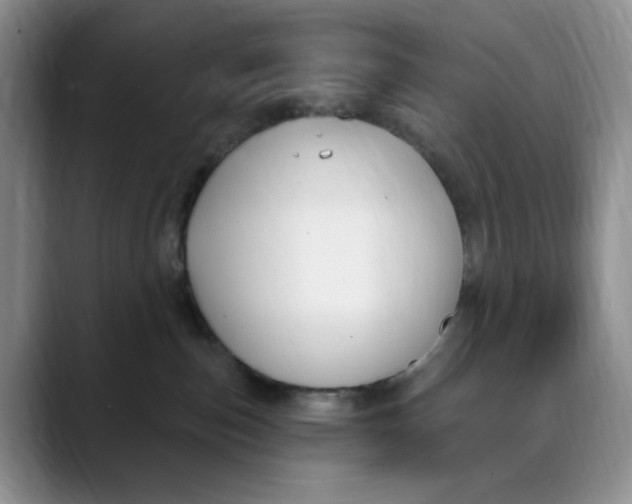 X0000088490187200706121556