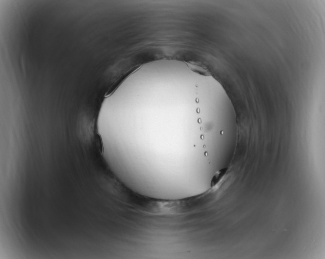 X0000088490188200706121556