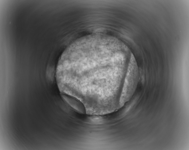 X0000088490189200706121556