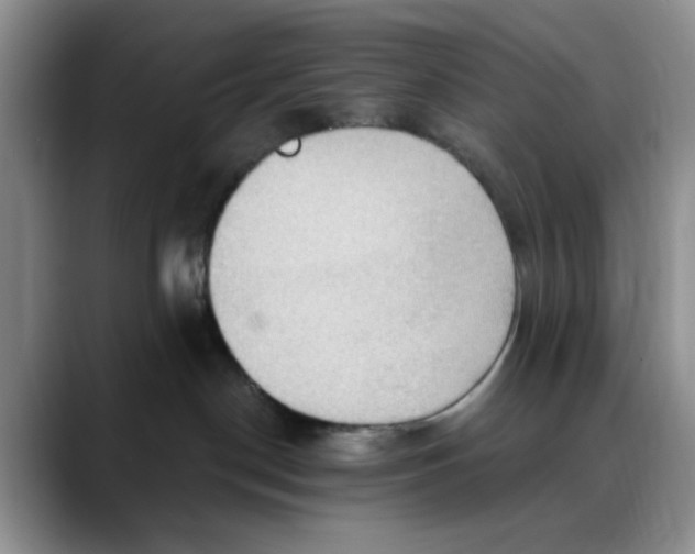 X0000088490190200706121556