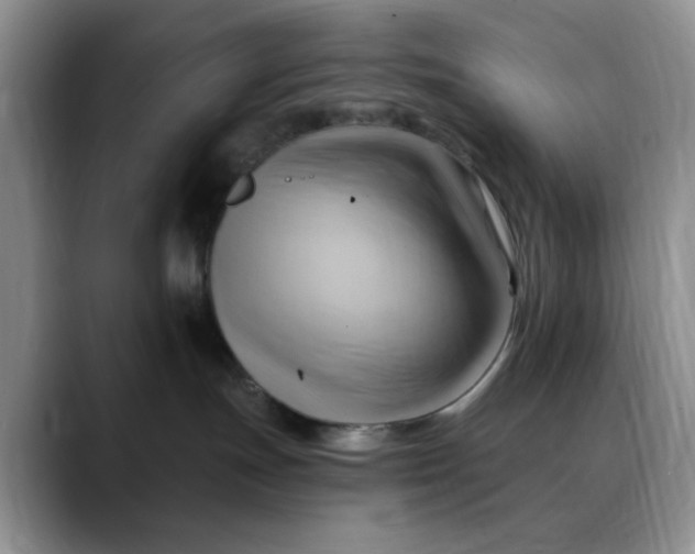 X0000088490191200706121556