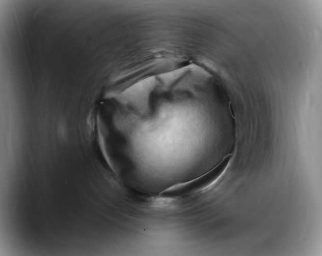 X0000088490192200706121556