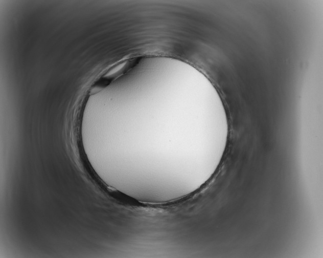 X0000088490193200706121555