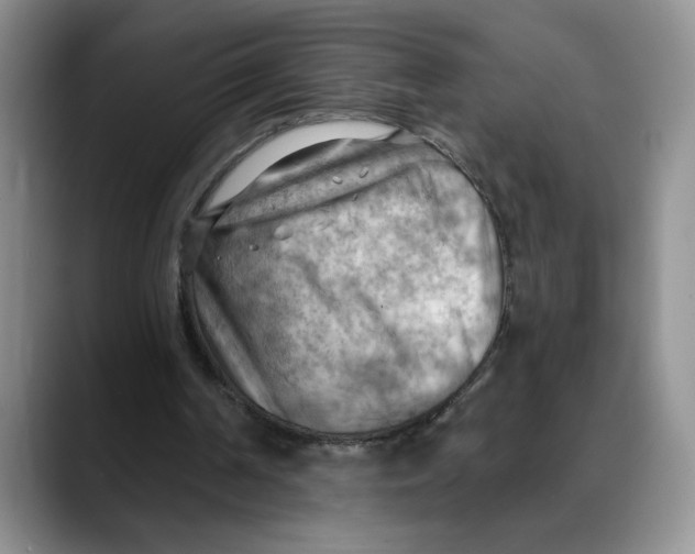 X0000088490194200706121555